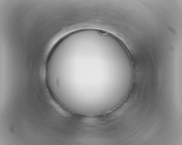 X0000115741511200911251948