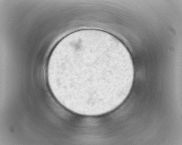 X0000115741514200911251948