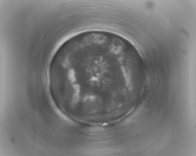 X0000115741515200911251948