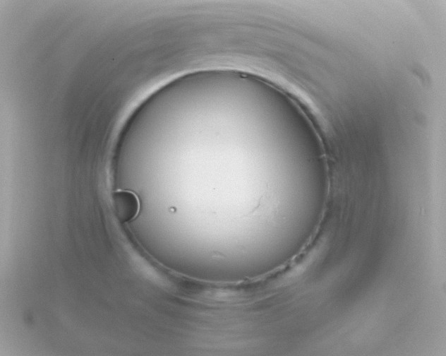 X0000115741517200911251948