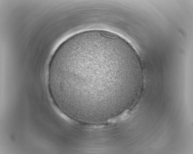 X0000115741519200911251948