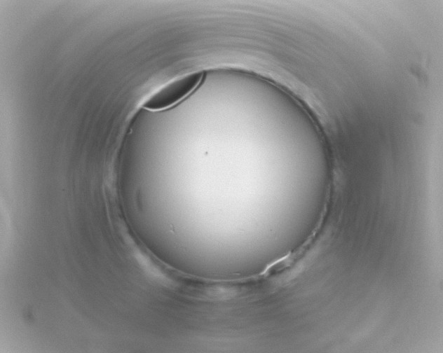 X0000115741521200911251949