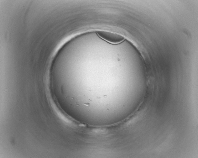 X0000115741523200911251949