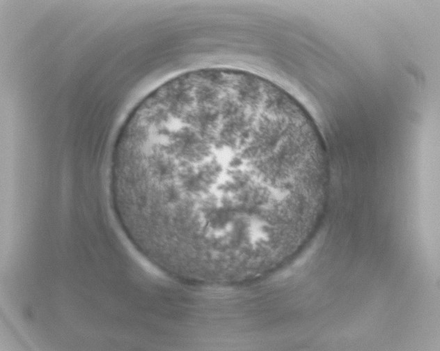 X0000115741525200911251949