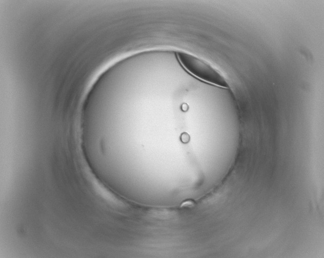 X0000115741526200911251949