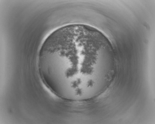 X0000115741527200911251949