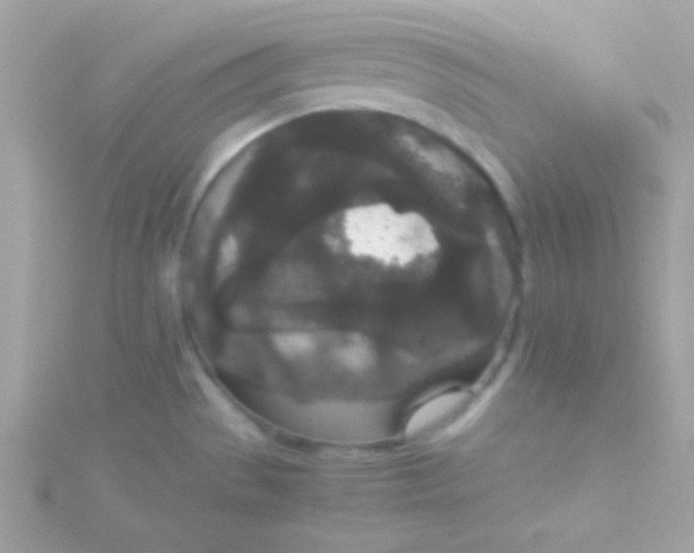 X0000115741529200911251949