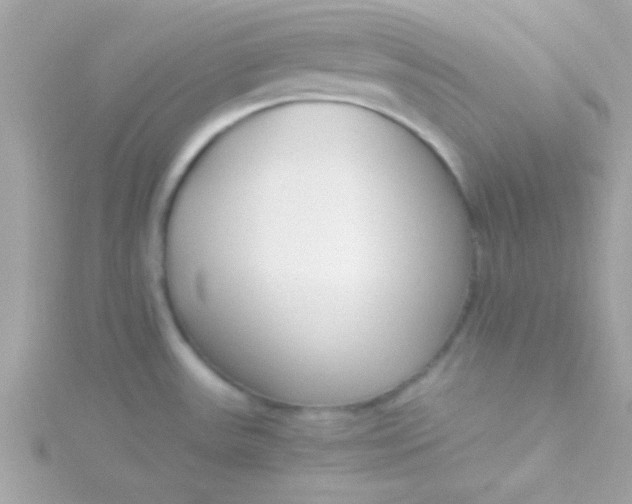 X0000115741531200911251949