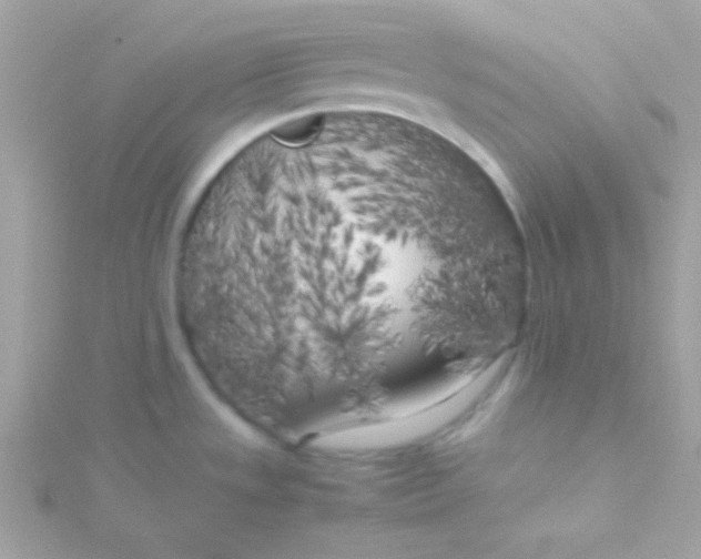 X0000115741533200911251949