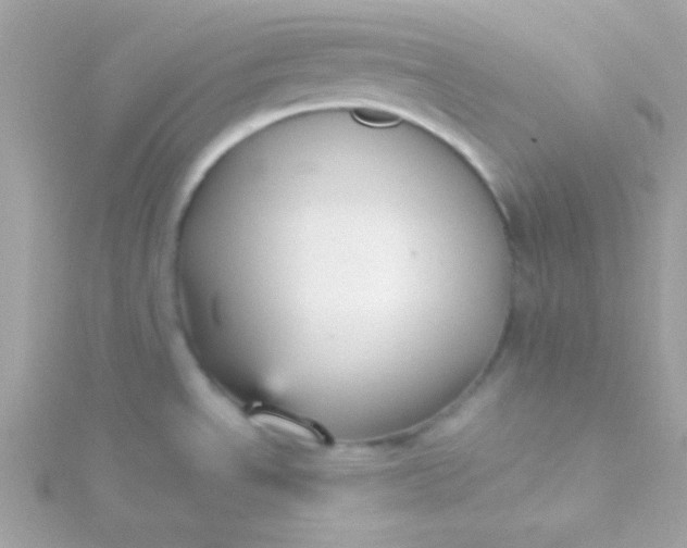 X0000115741534200911251949