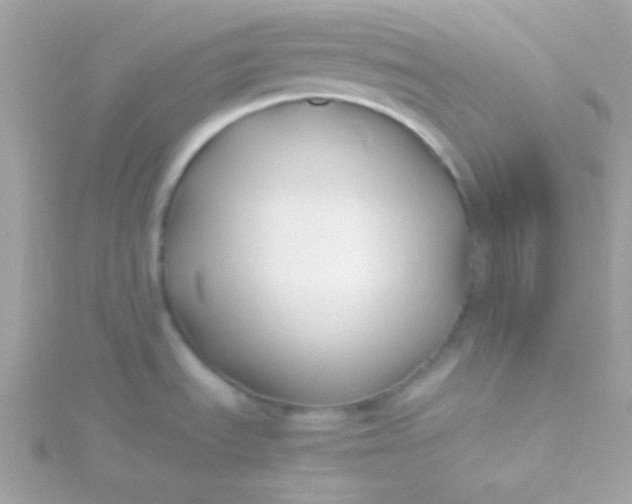 X0000115741535200911251949