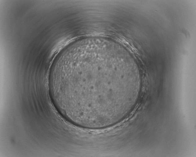 X0000115740002200912031437