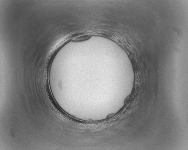 X0000115740005200912031437