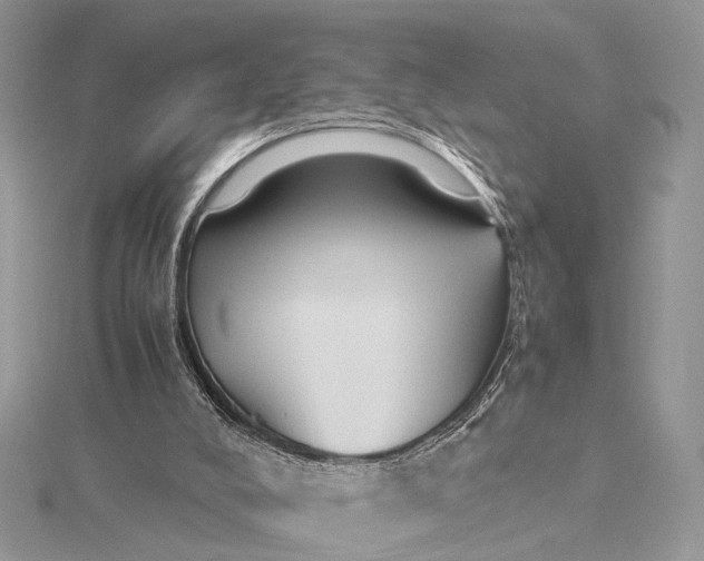 X0000115740008200912031437