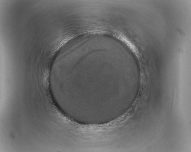 X0000115740009200912031437