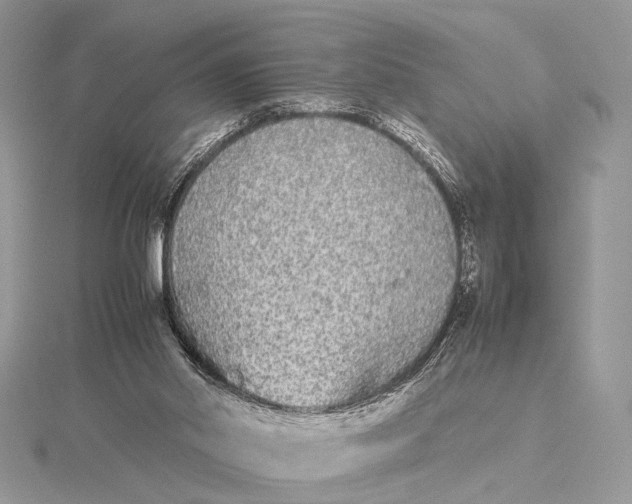 X0000115740014200912031437