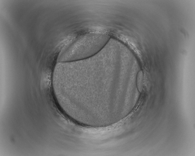 X0000115740017200912031437