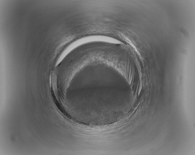 X0000115740019200912031437