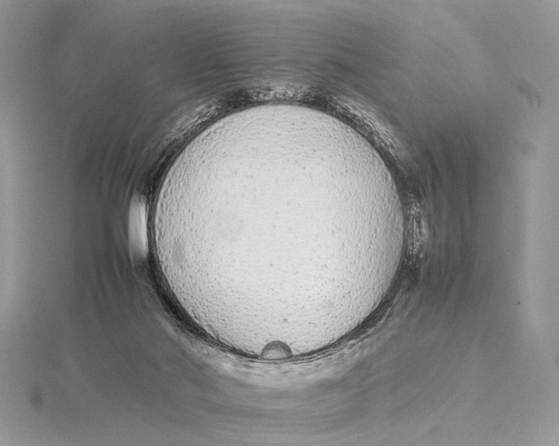 X0000115740022200912031437