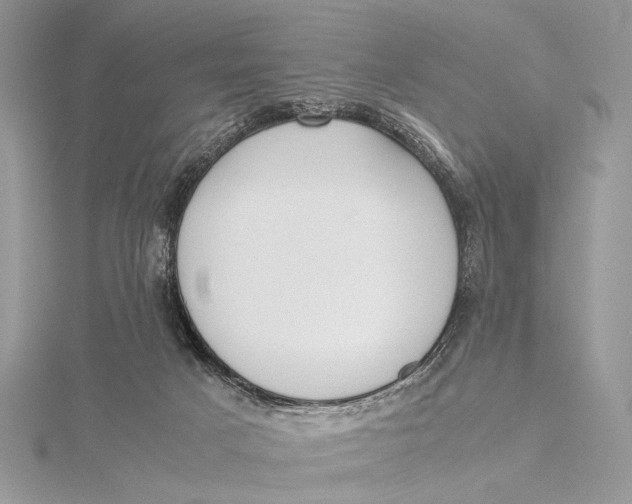 X0000115740025200912031437