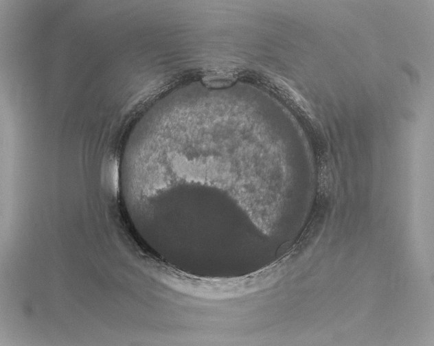 X0000115740027200912031437