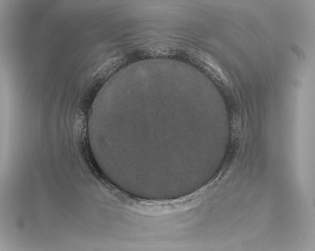 X0000115740029200912031437