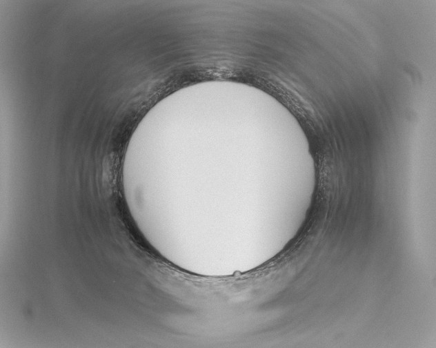 X0000115740030200912031437