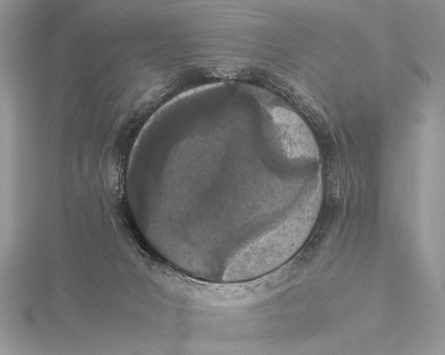 X0000115740031200912031437