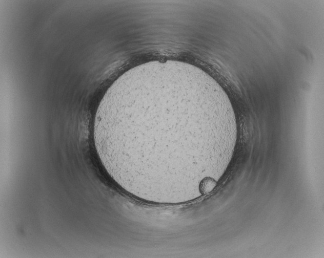 X0000115740032200912031437