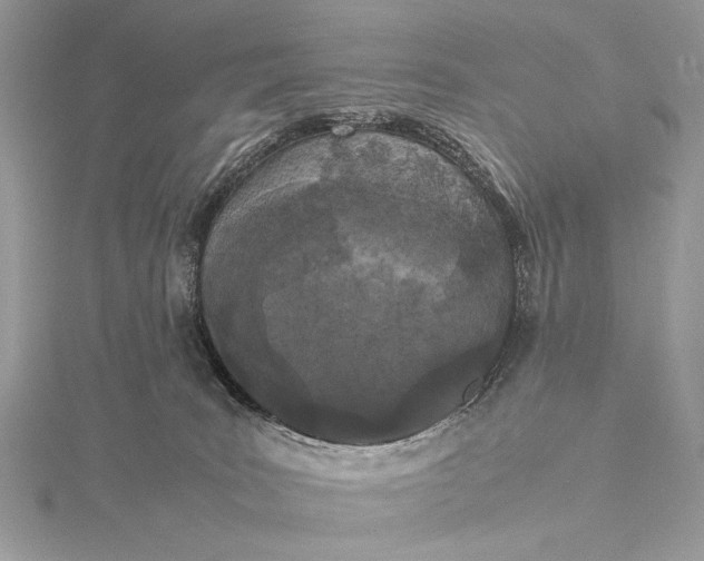 X0000115740035200912031436