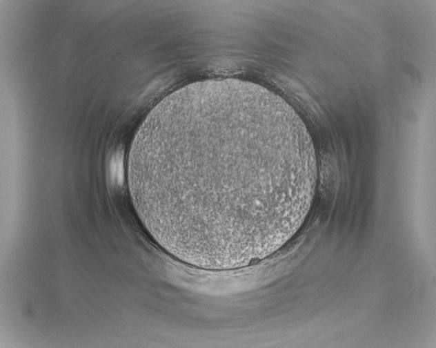 X0000115740046200912031436