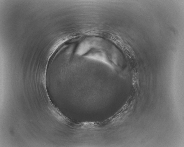 X0000115740052200912031436