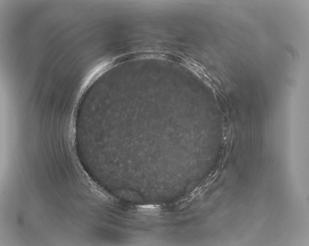 X0000115740053200912031436