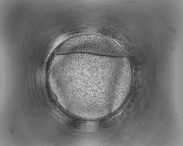 X0000115740056200912031436