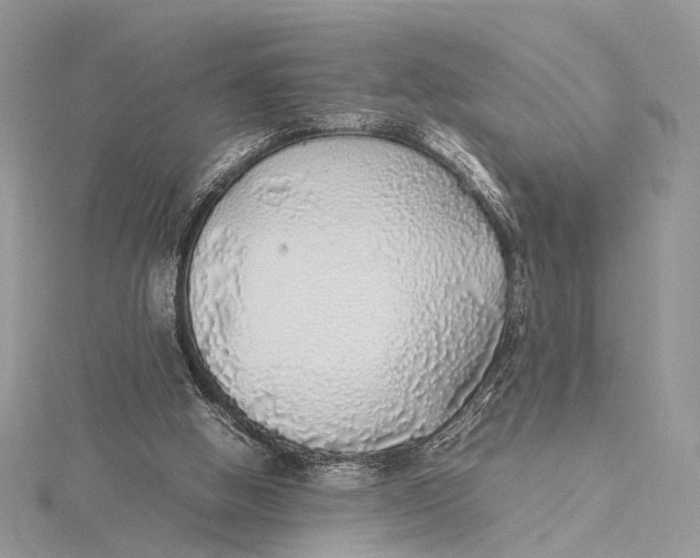 X0000115740058200912031436