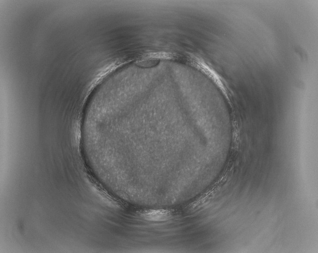 X0000115740059200912031436