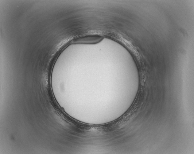 X0000115740060200912031436