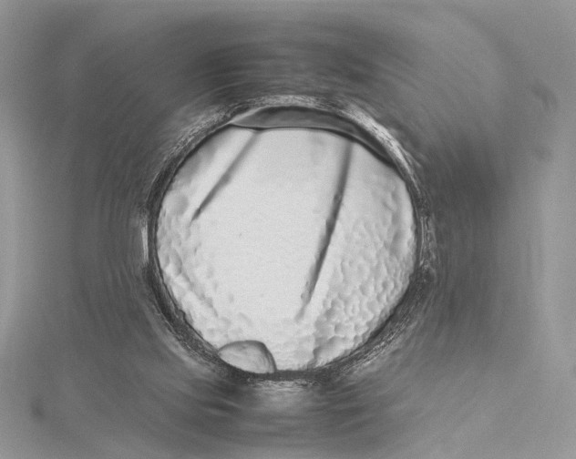 X0000115740061200912031436