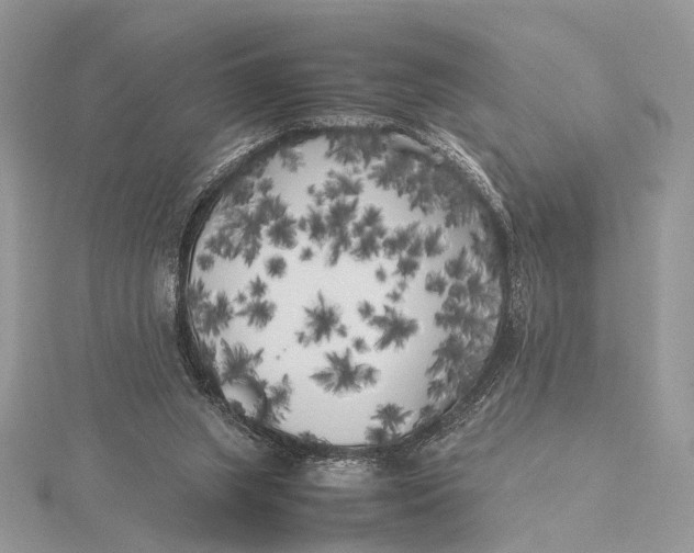 X0000115740063200912031436