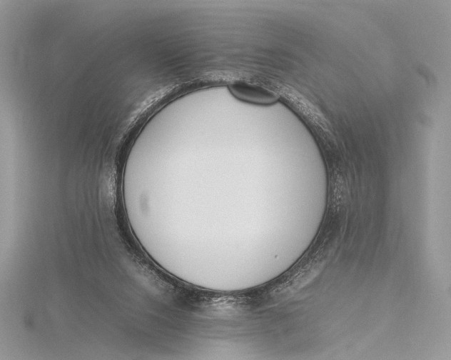 X0000115740064200912031436