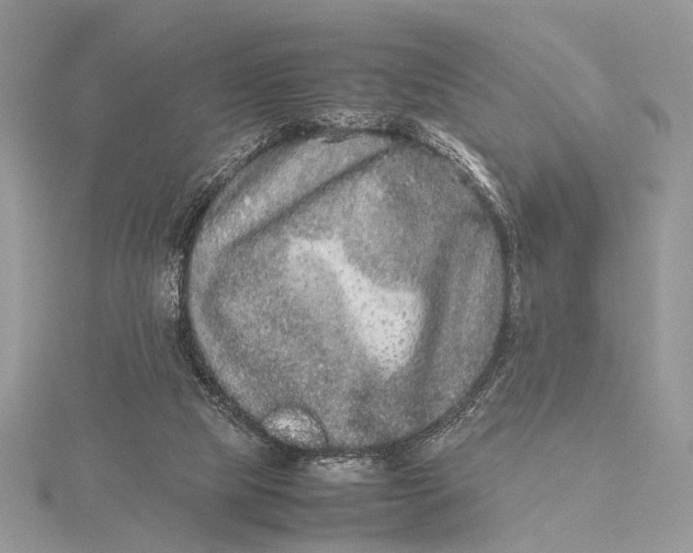 X0000115740065200912031436