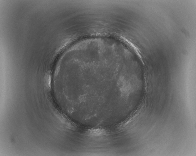 X0000115740067200912031436