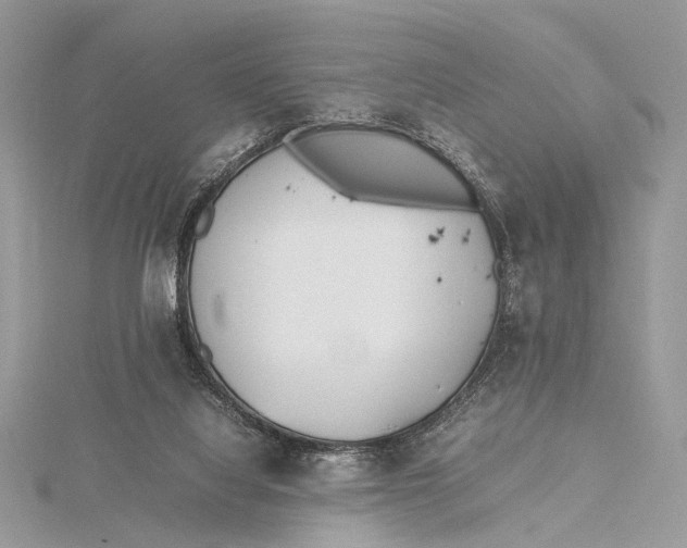 X0000115740068200912031436