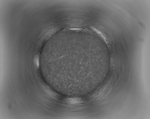 X0000115740069200912031436