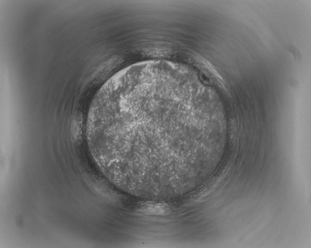 X0000115740073200912031436