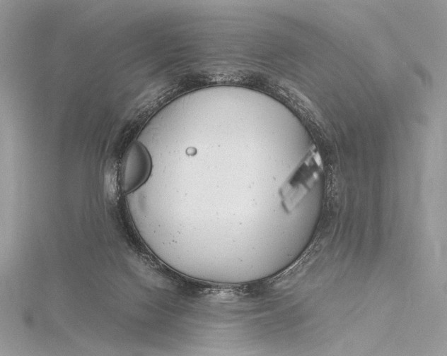 X0000115740074200912031436