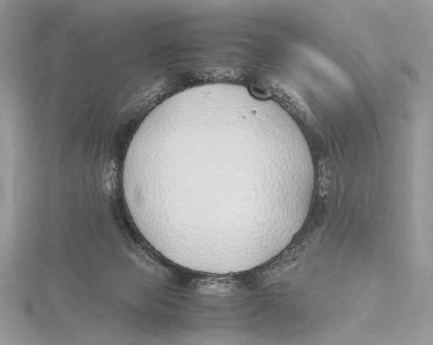 X0000115740077200912031436