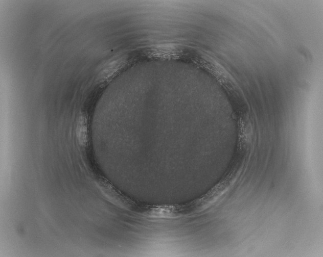 X0000115740080200912031436