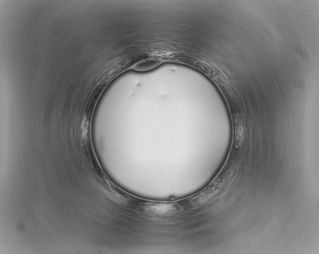 X0000115740081200912031436