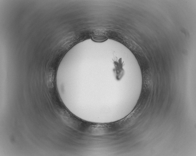 X0000115740082200912031436